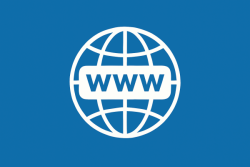 What are Domain Names and Their Types?